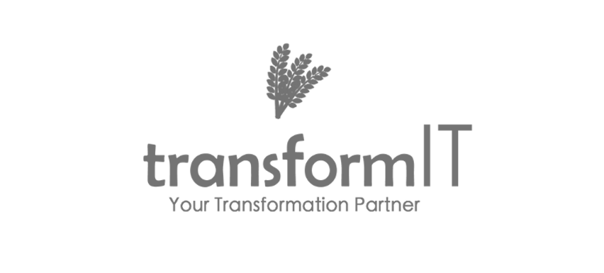 Logo Transform IT